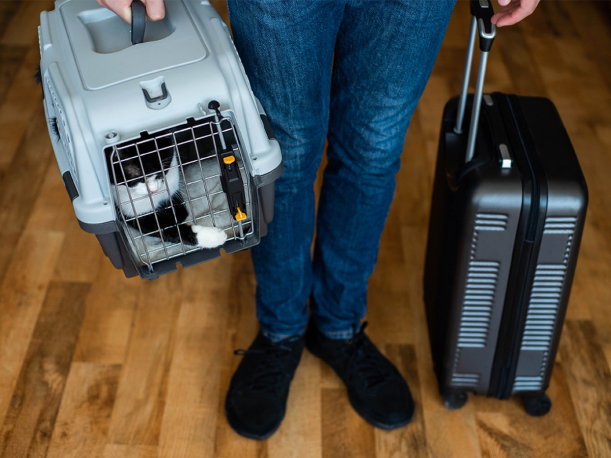 Pet going on a journey